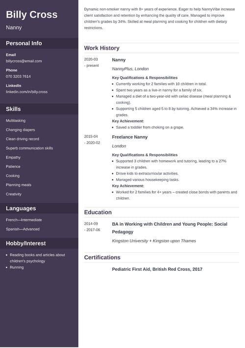 nanny cv example