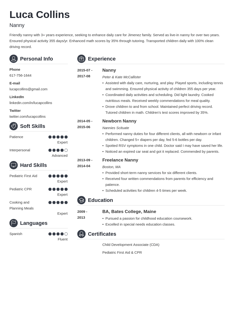 nanny resume example template crisp
