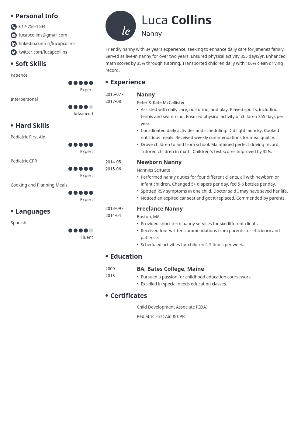 nanny resume example template initials