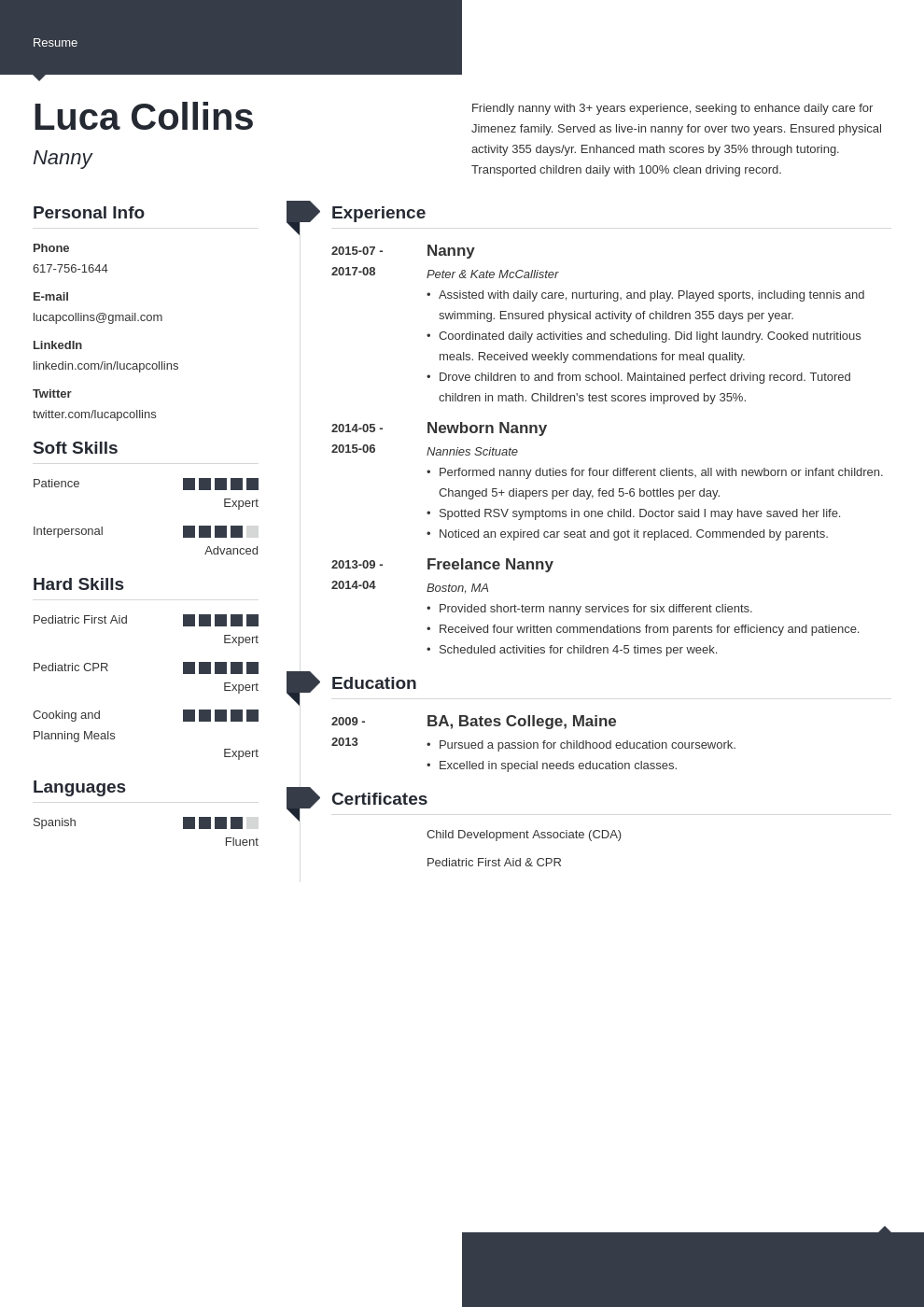 nanny resume example template modern