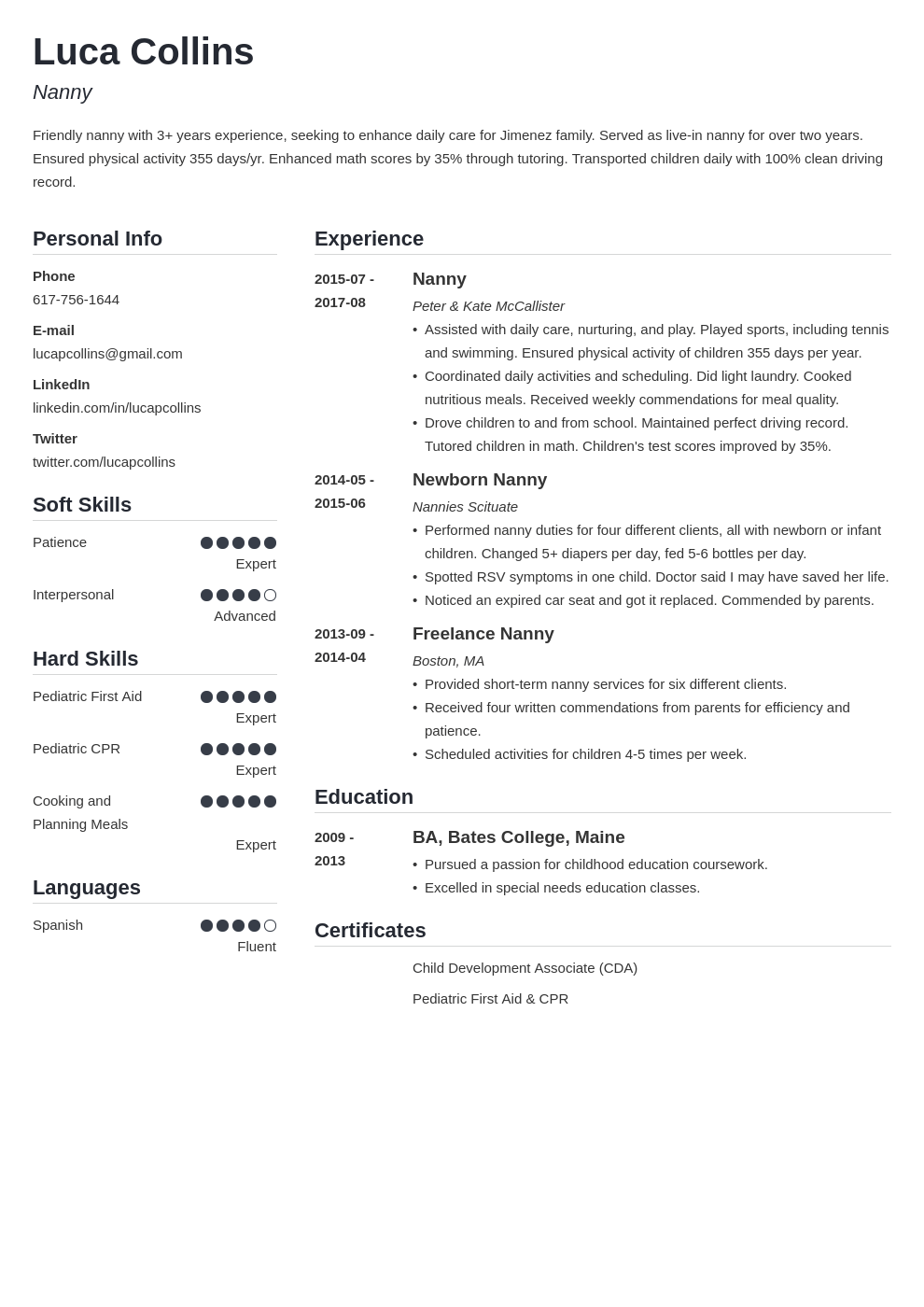 nanny resume example template simple