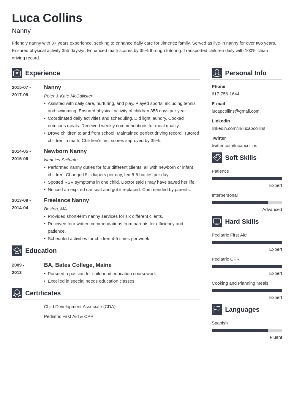 nanny resume example template vibes