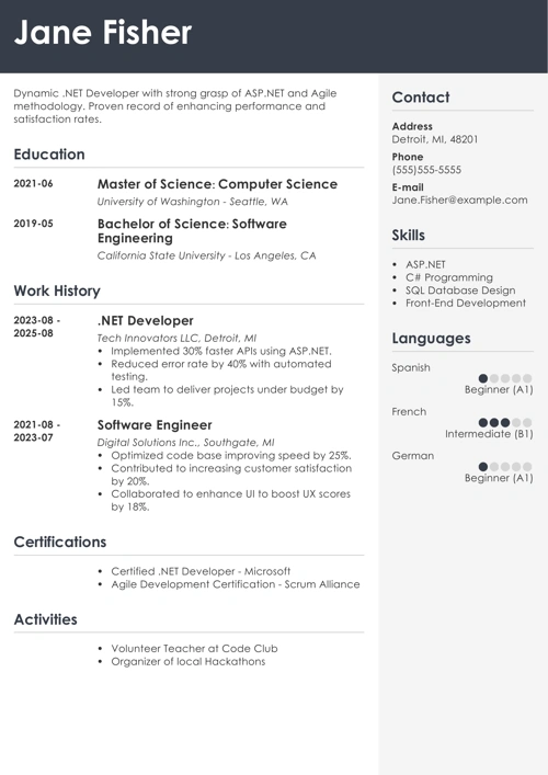 sample resume example
