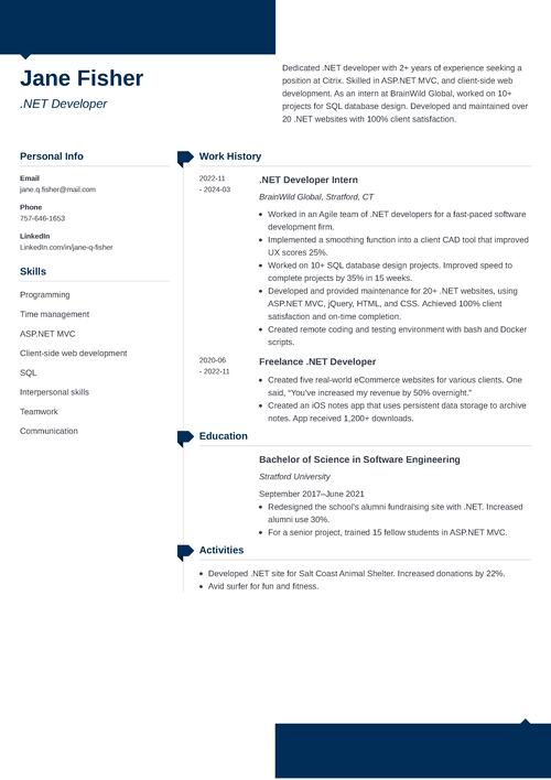 NET Developer Resume Example