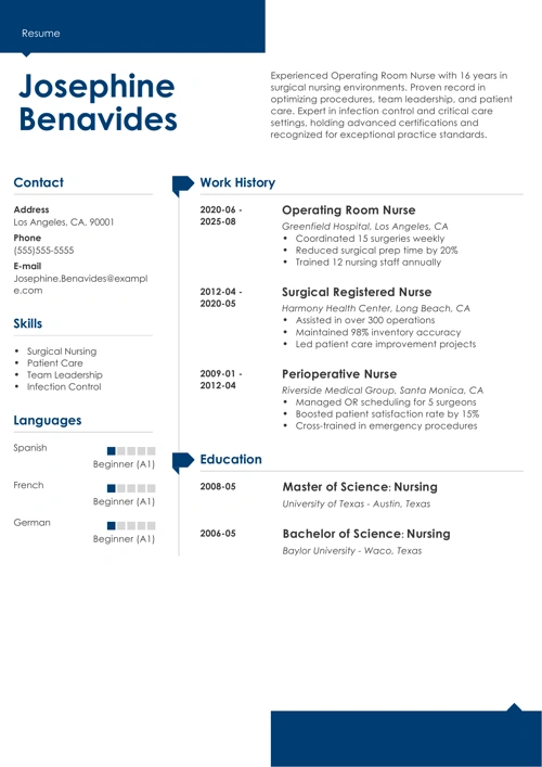sample resume example