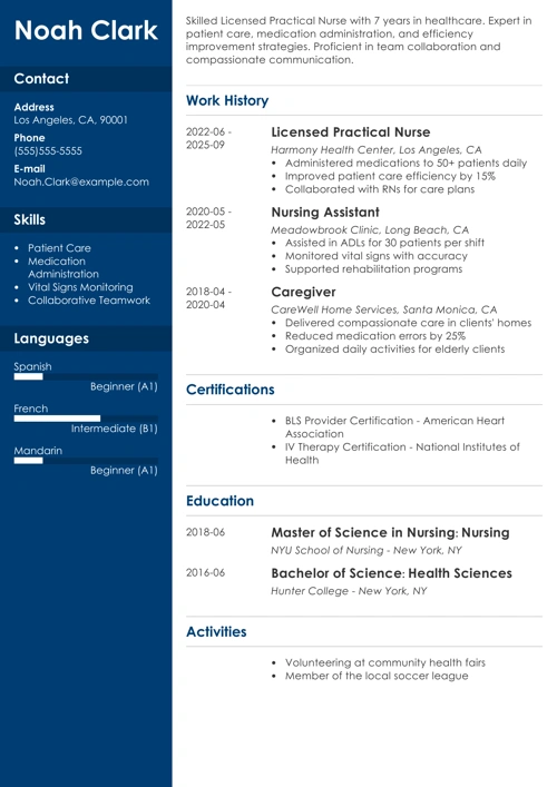 sample resume example