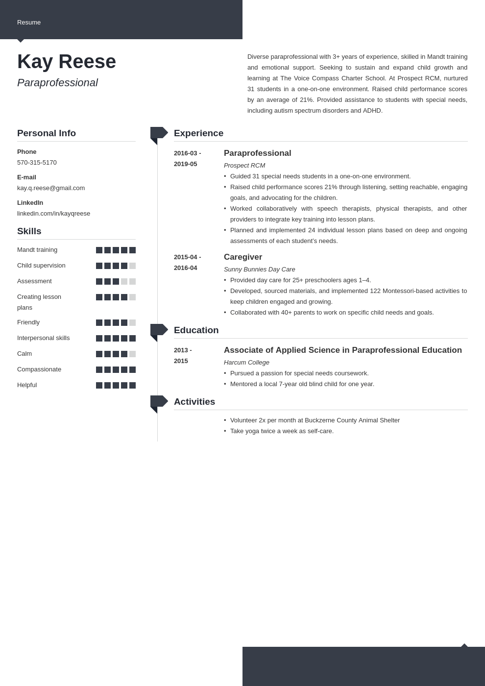 paraprofessional resume example template modern