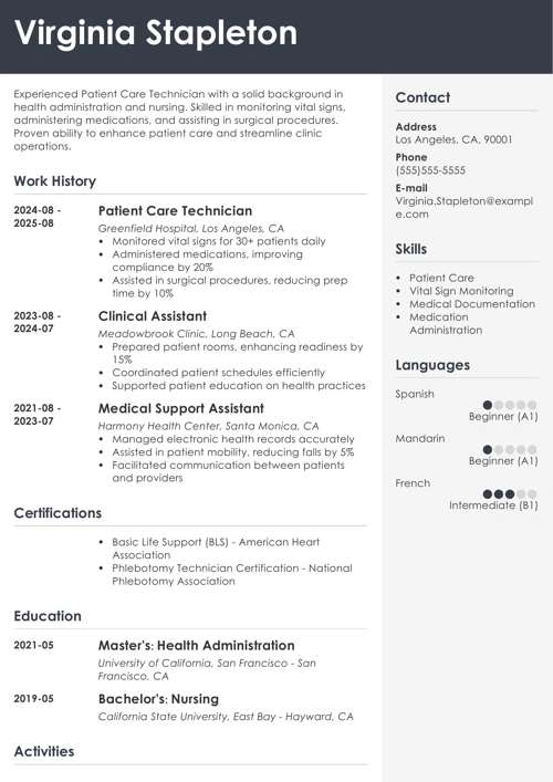 sample resume example