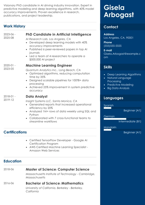sample resume example
