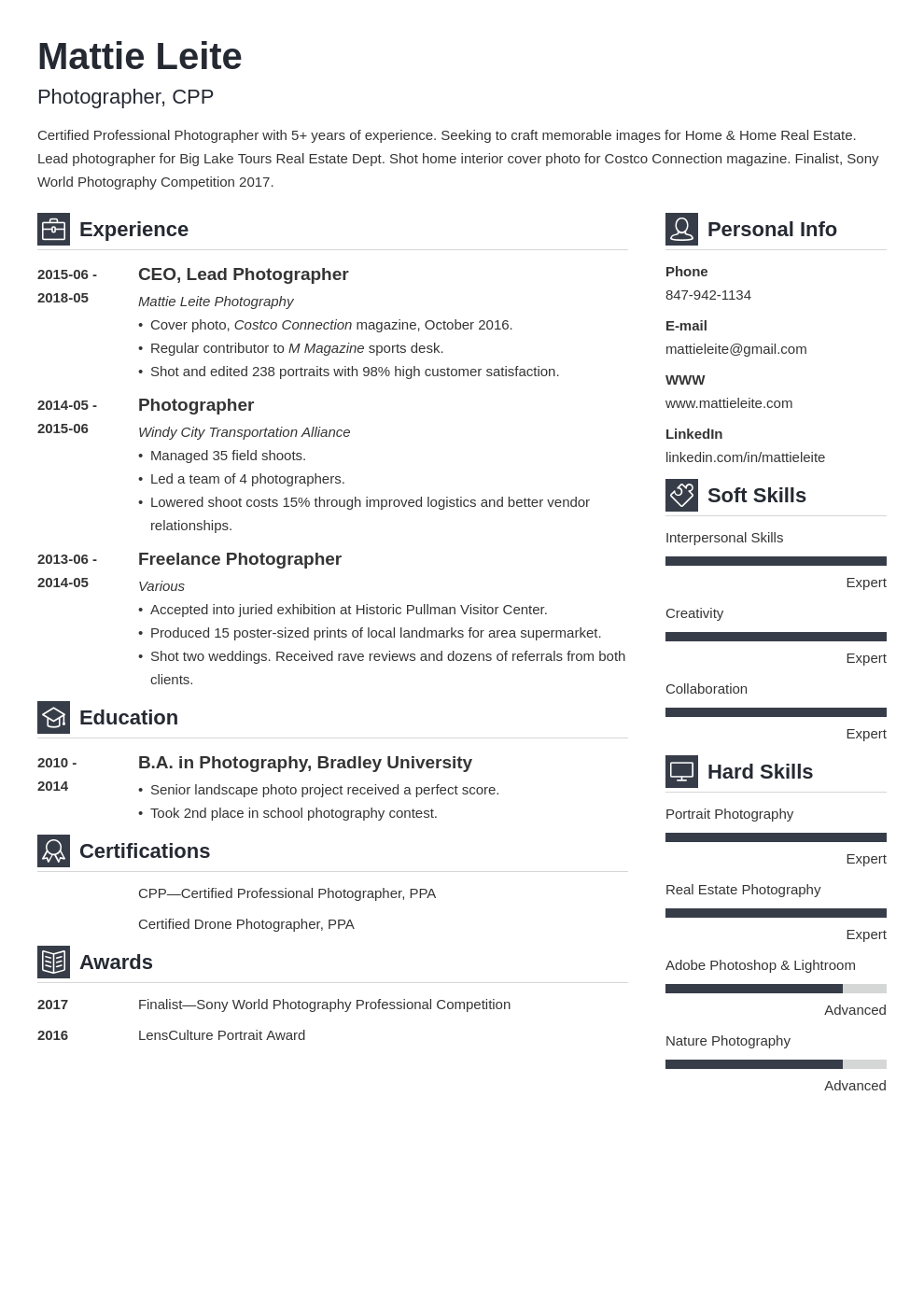 photographer resume example template vibes