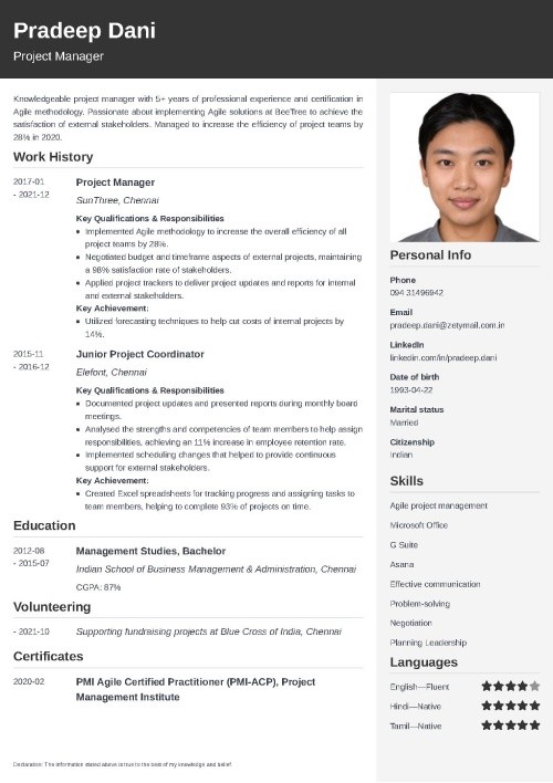 project manager resume sample doc india
