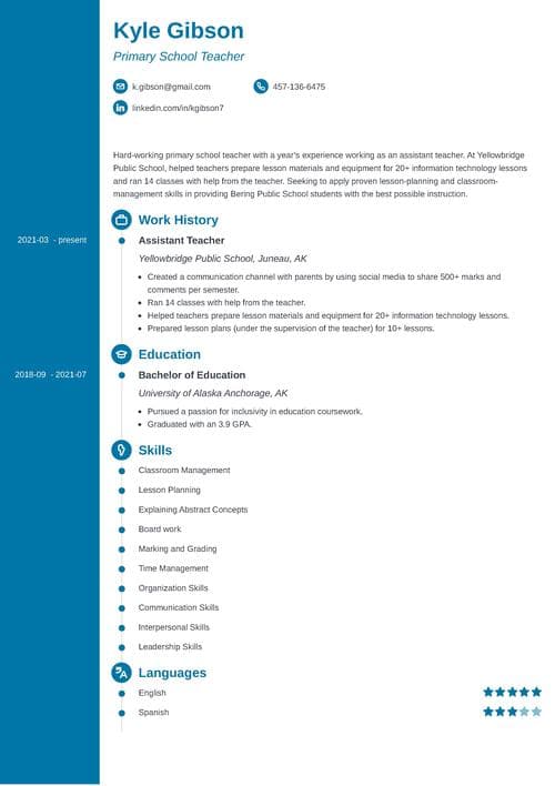 Pretty Resume Templates Examples