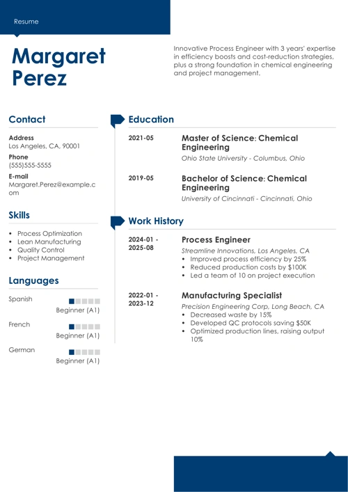 process engineer resume example