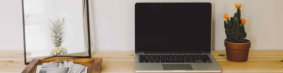 Product Marketing Manager Resume: Examples & Guide