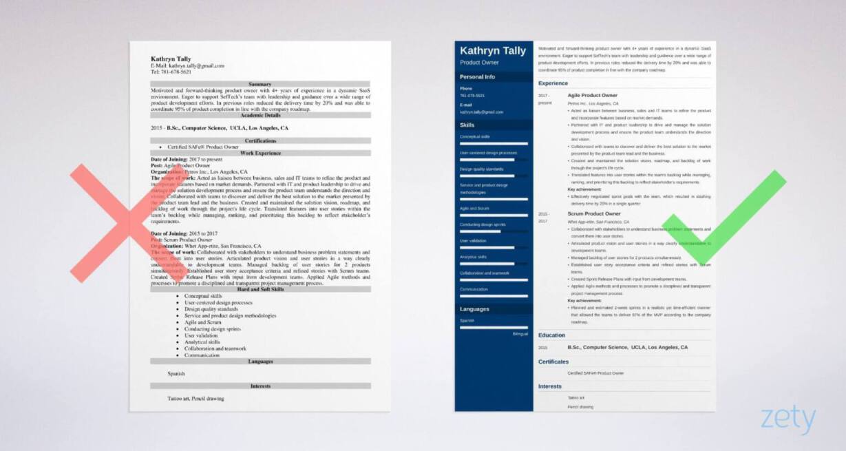 product-owner-resume-examples-20-skills-summaries-tips