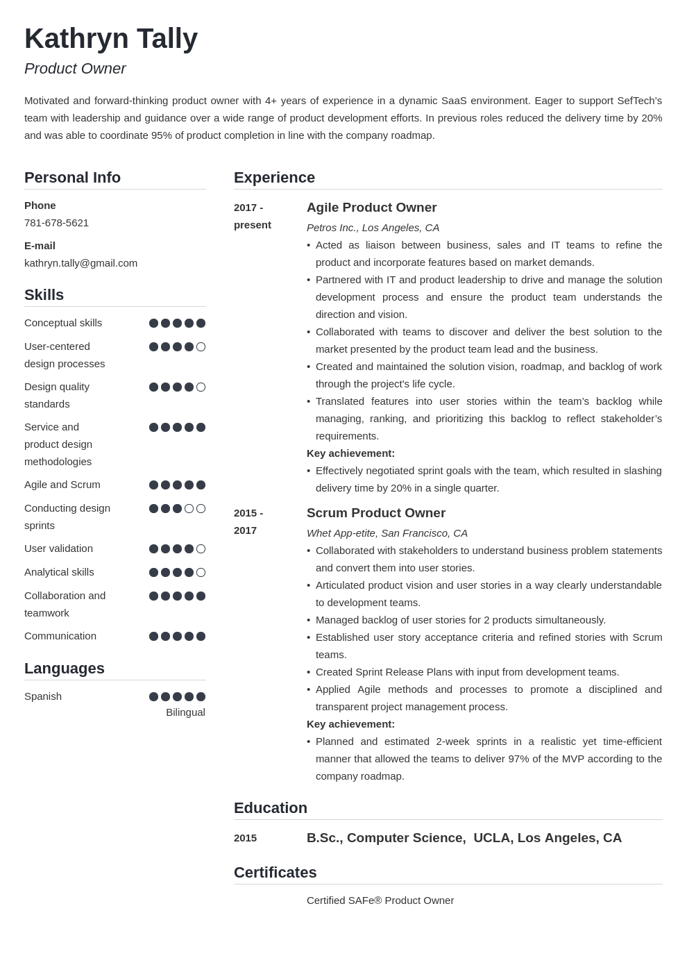 product owner resume example template simple