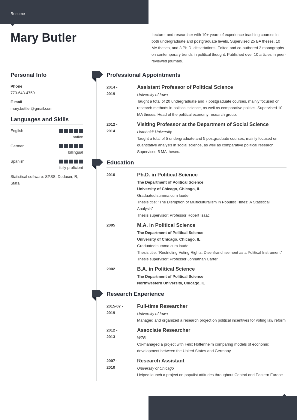 professor cv example template modern