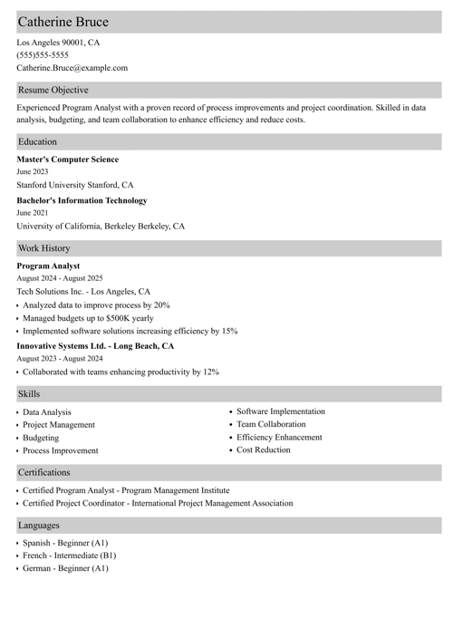 program analyst resume example