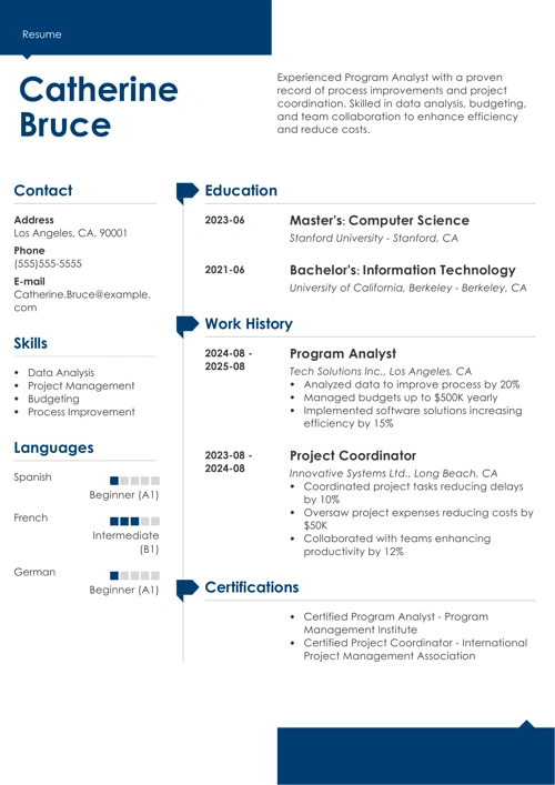 program analyst resume example
