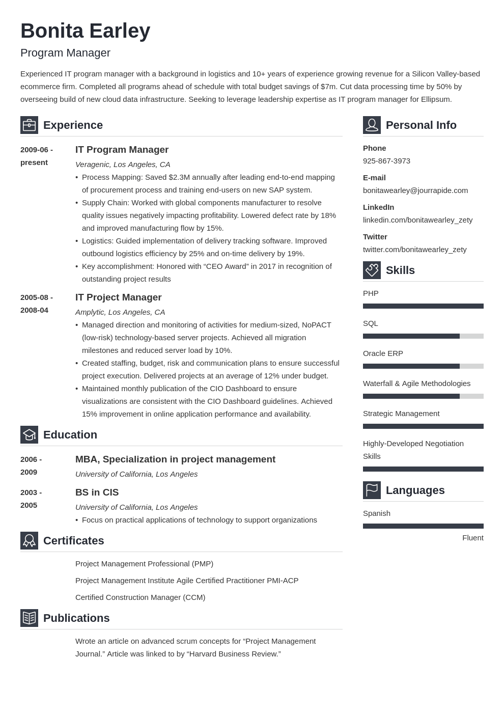 program manager resume example template vibes