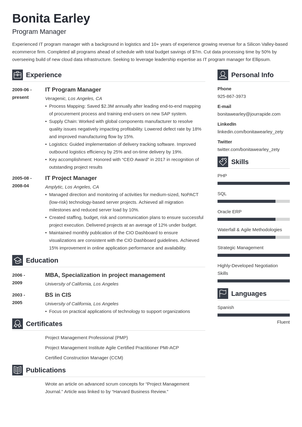 resume example for program manager