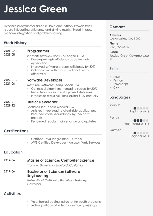 Programmer resume example