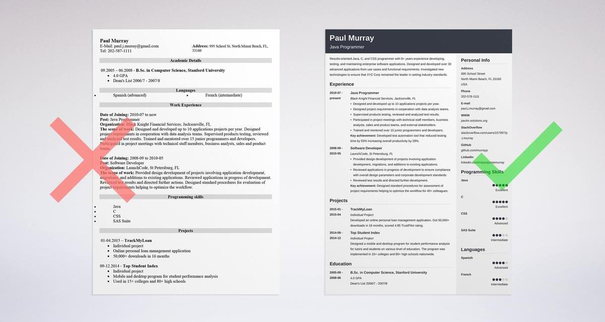 creative resume programmer