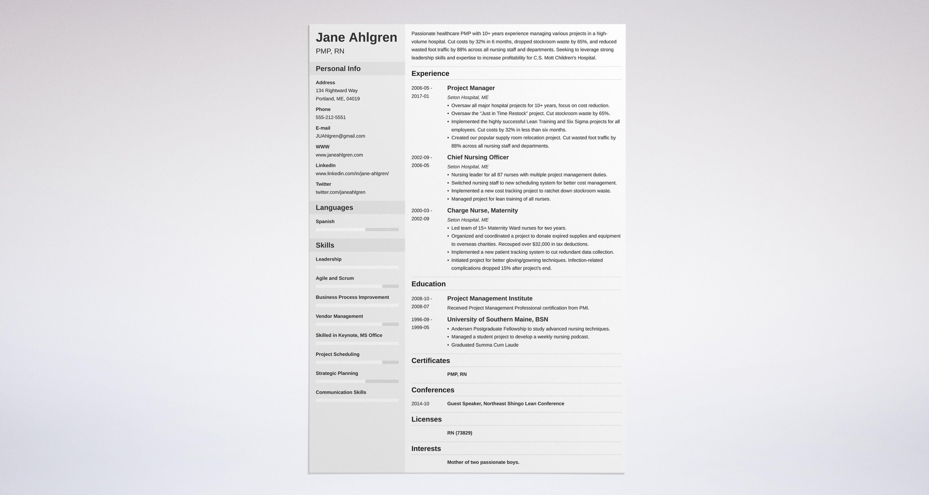 Best Project Manager Resume Examples & Guide for 2024