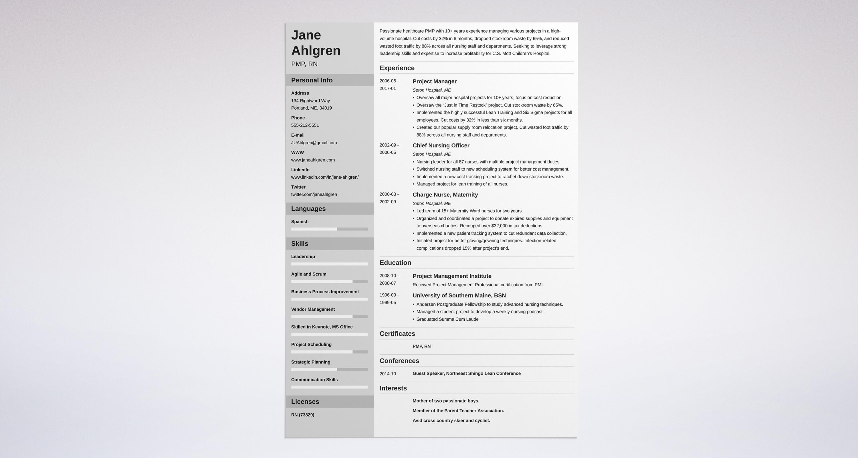 Best Project Manager Resume Examples Template Guide