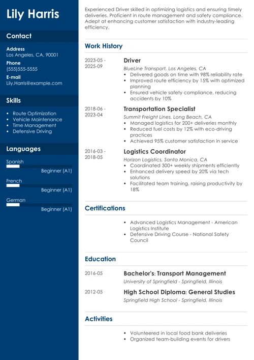 sample resume example