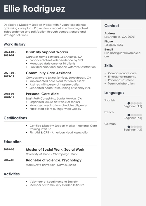 sample resume example
