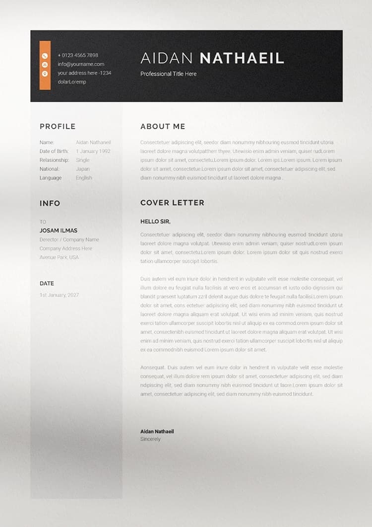 CV Design Template