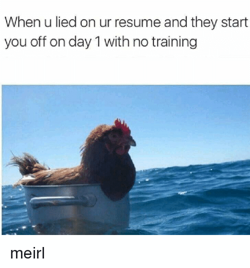 Funny Resume Memes - Wirusoze