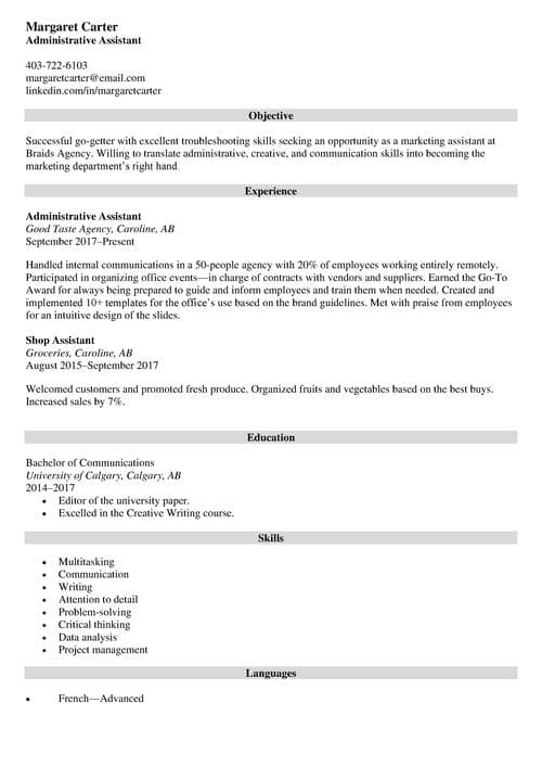 resume objective sample for it professional