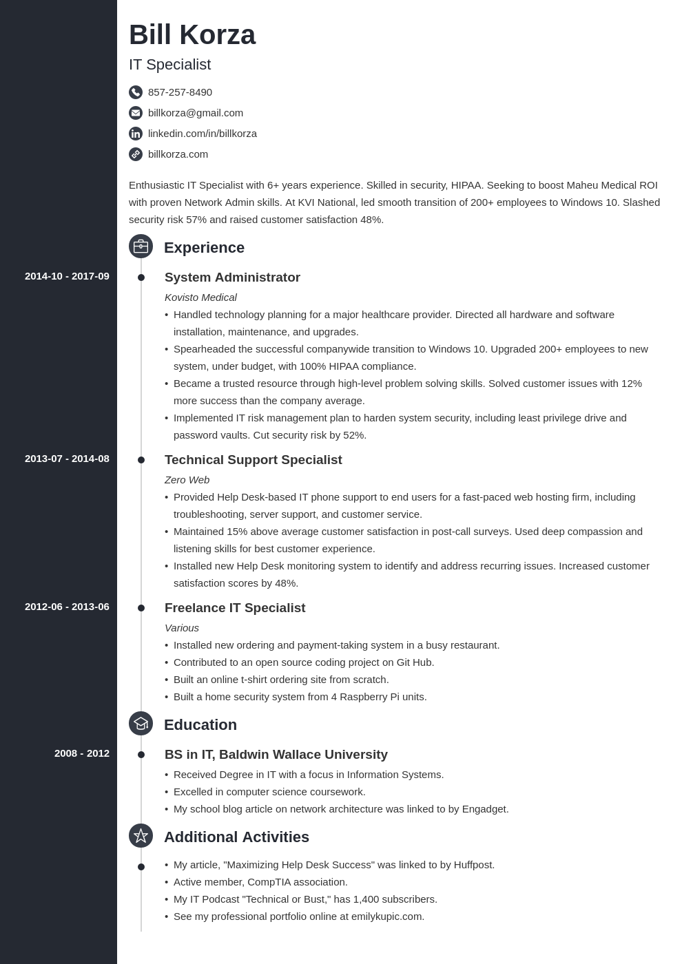 resume profile examples for it professional
