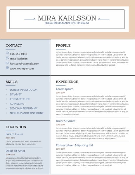 Resume Template for Microsoft Word