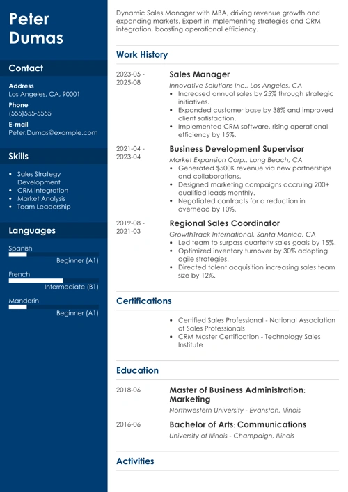 Sales manager resume example