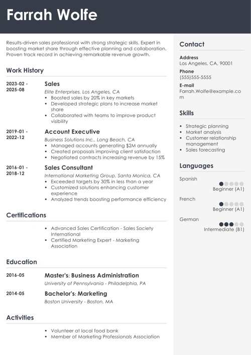 sales resume example