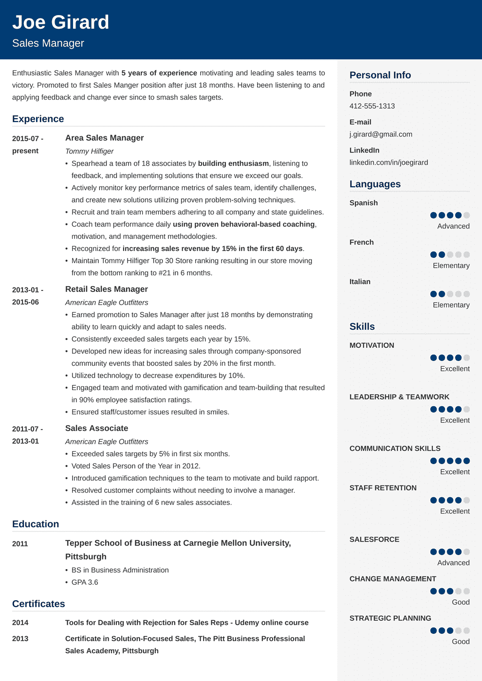 Sales Manager Resume Examples Templates & Key Skills