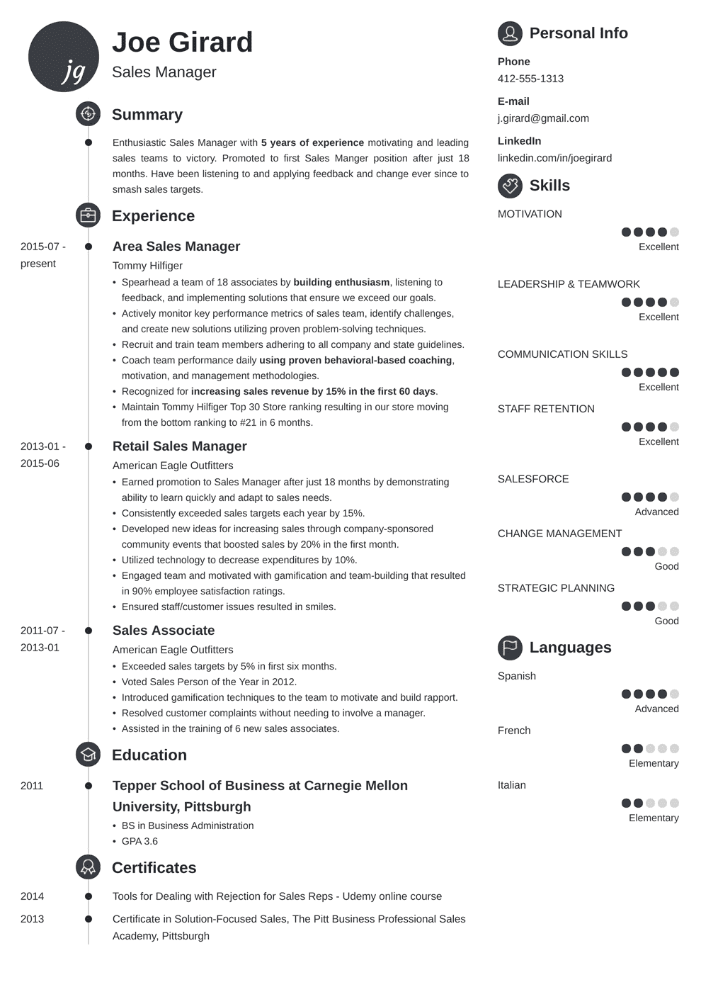 Impactful Professional Sales Resume Resume Examples