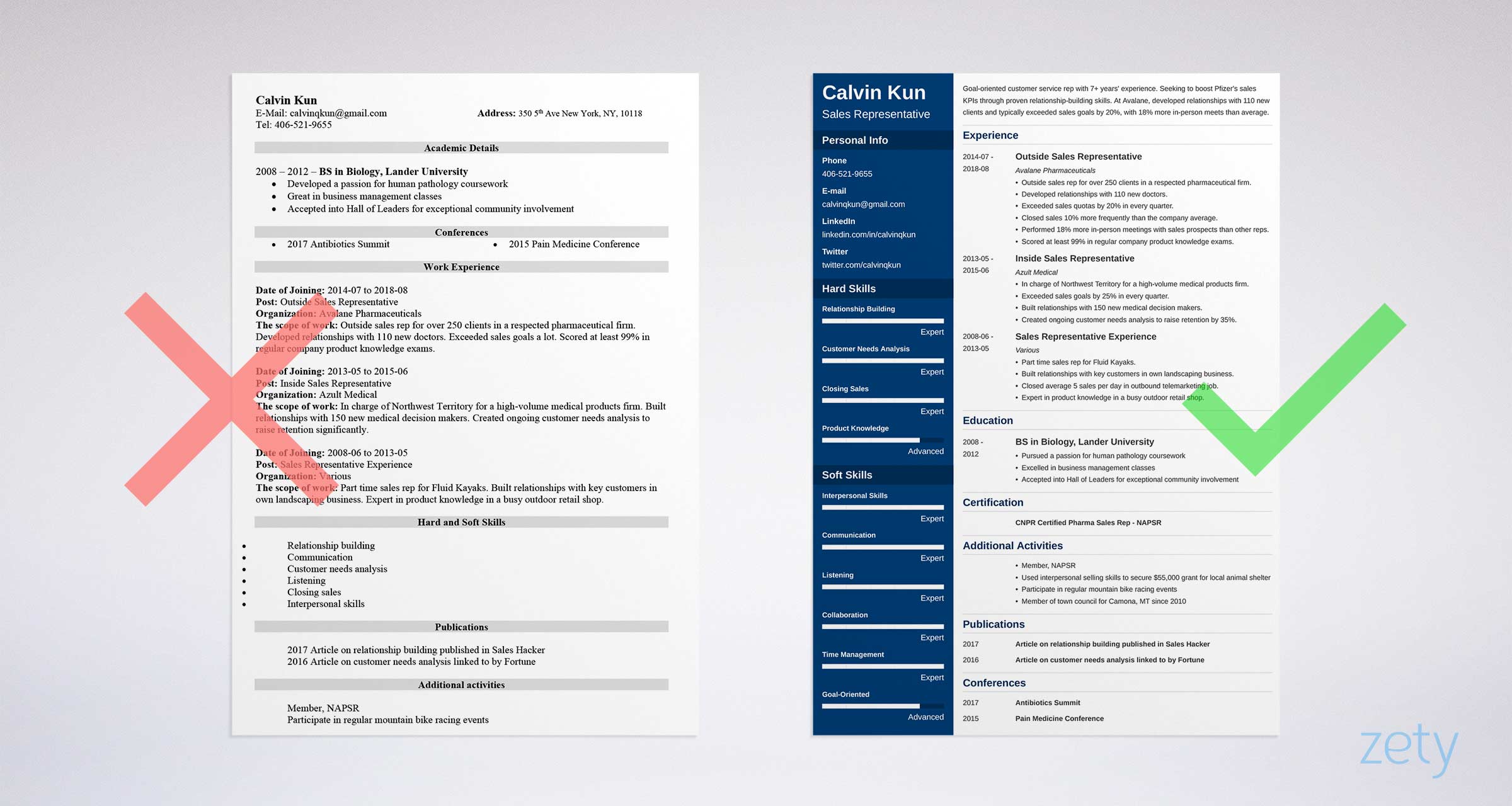 Sales Representative Resume Sample & Writing Guide [20