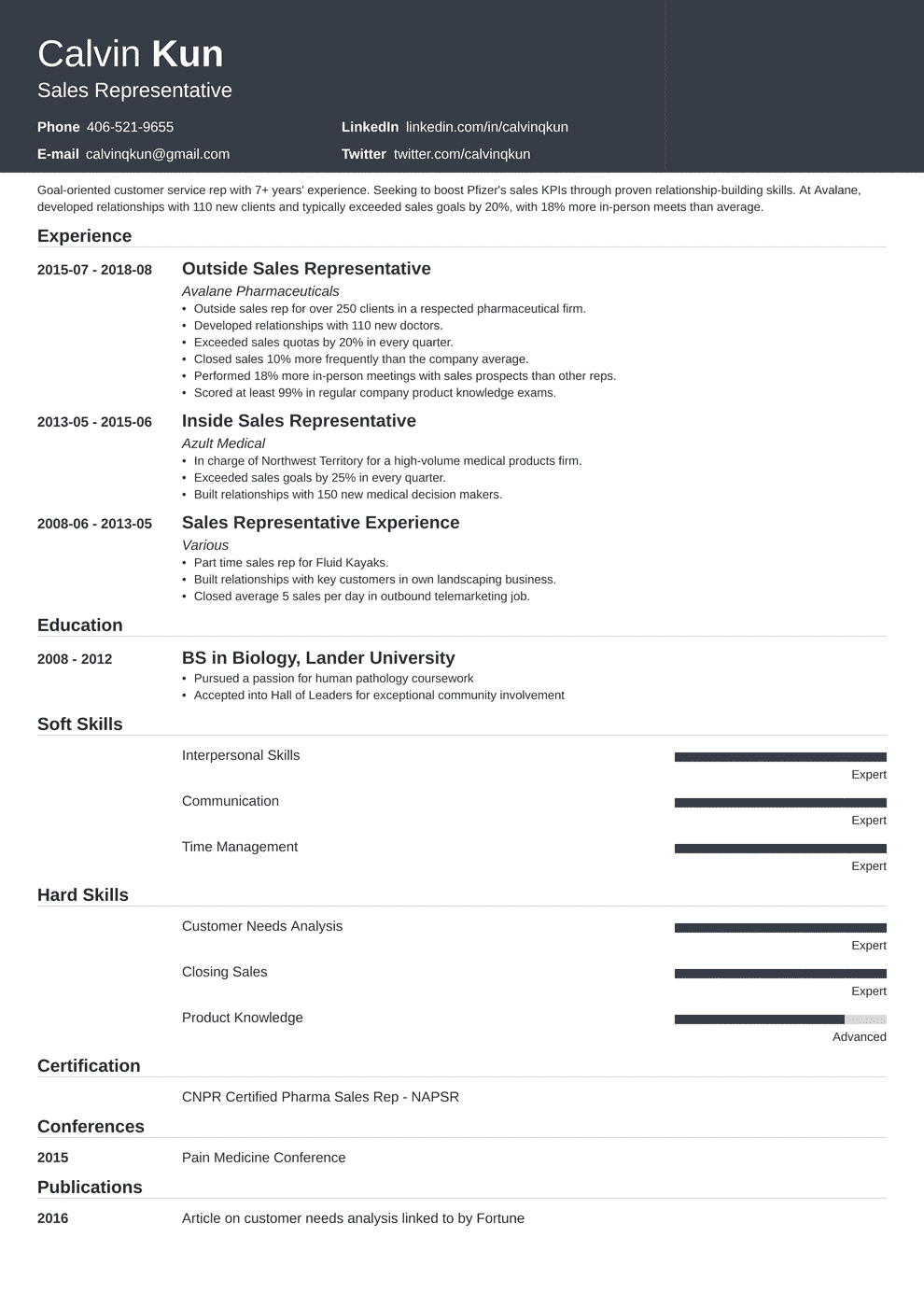 Professional Summary For Sales Representative - Free ...