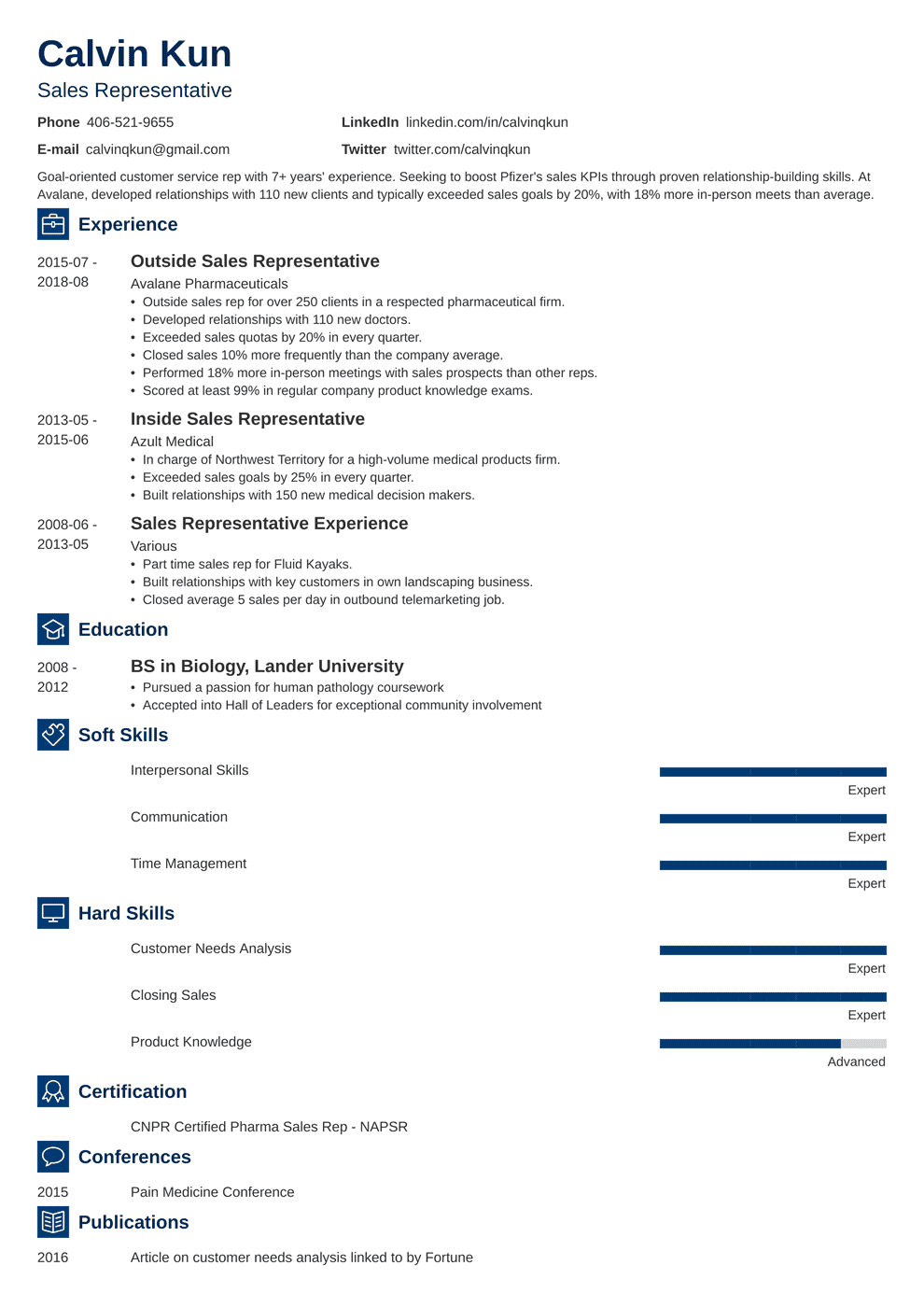 sales rep resume example