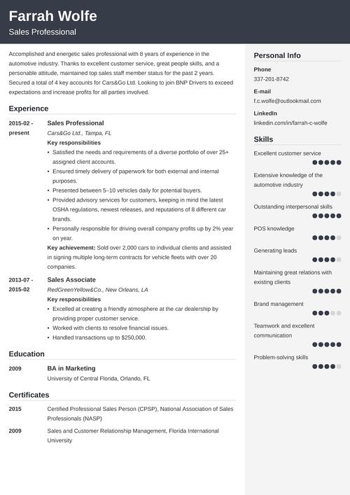 The Best 10 Examples Of resume