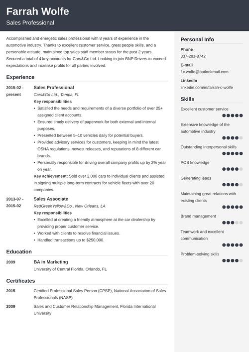 resume examples for sales