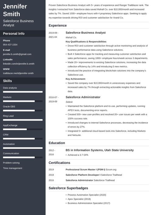 Salesforce Business Analyst Resume Summary