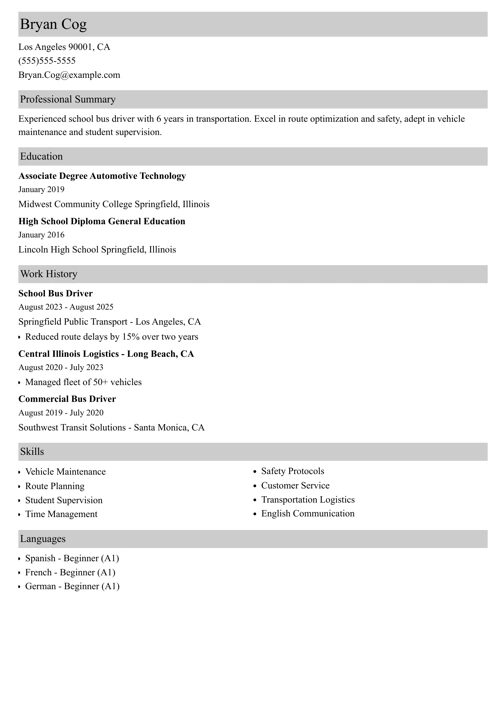 school bus driver resume example