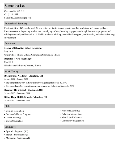 School Counselor Resume Example