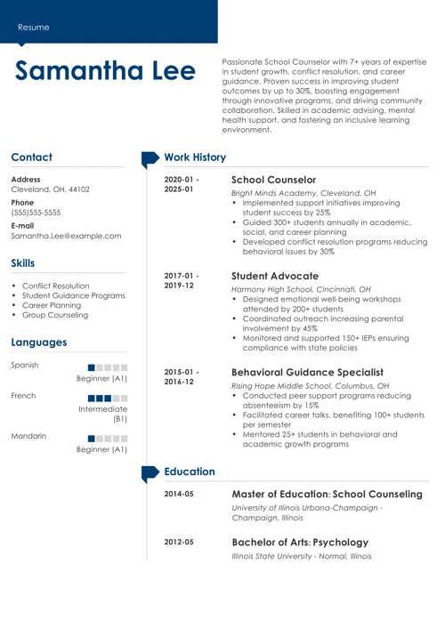 School Counselor Resume Example