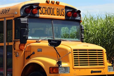 School Bus Driver Resume: Example, Tips & Job Description